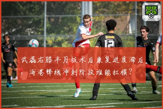 武磊右膝半月板术后康复进度滞后，海港锋线冲刺阶段谁能扛旗？