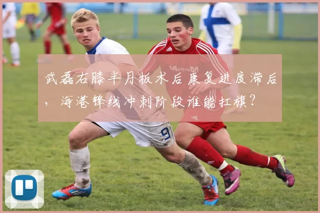 武磊右膝半月板术后康复进度滞后，海港锋线冲刺阶段谁能扛旗？