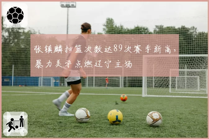 张镇麟扣篮次数达89次赛季新高，暴力美学点燃辽宁主场