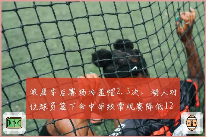 浓眉季后赛场均盖帽2.3次,湖人对位球员篮下命中率较常规赛降低12%