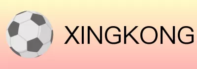 XINGKONG logo